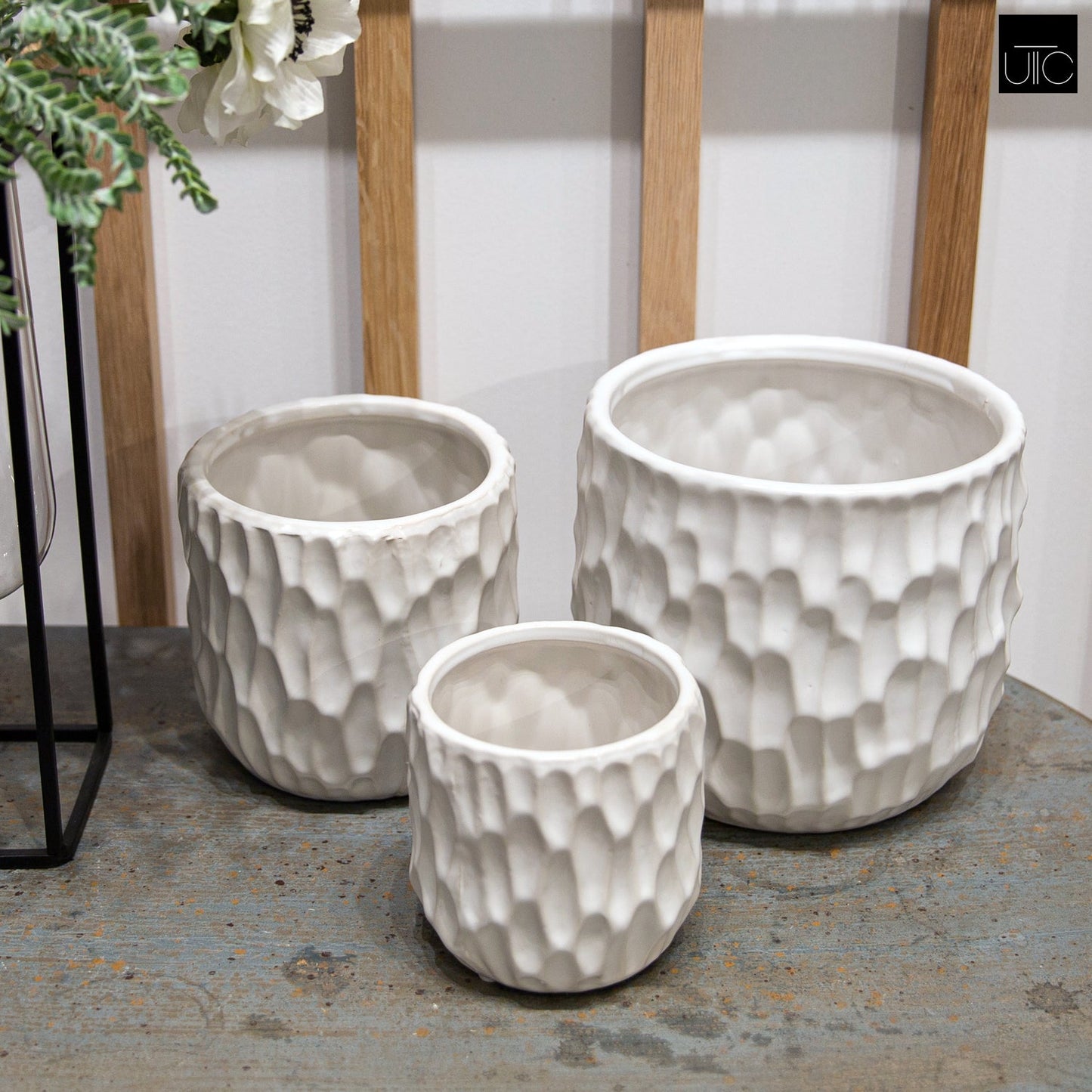 Vyne Ceramic Pot Set (Set of 3)