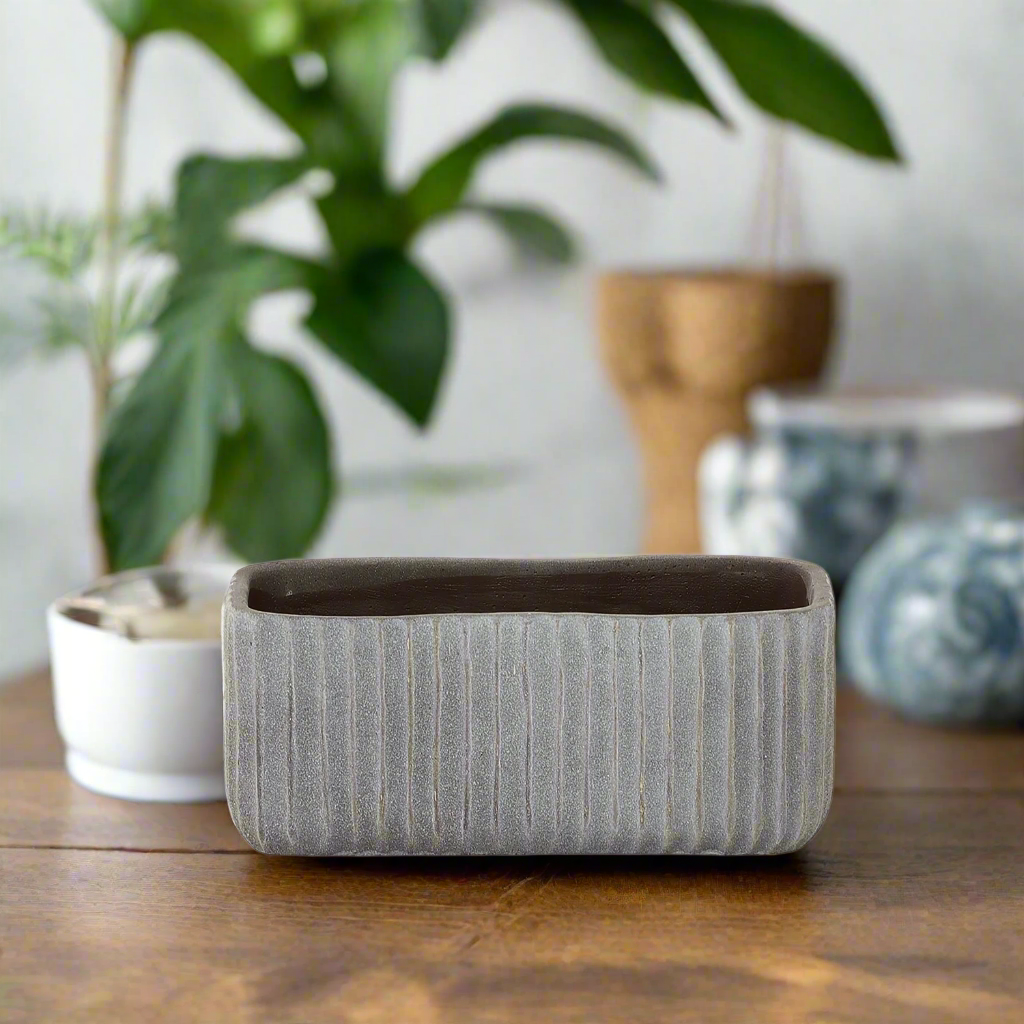 Rienza Cement Rectangle Pot