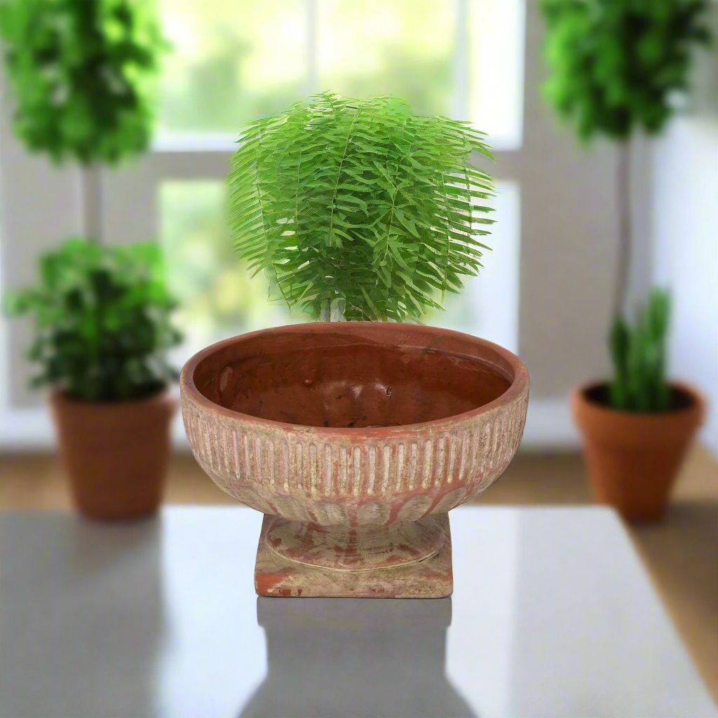 Savannah Terracotta Pot