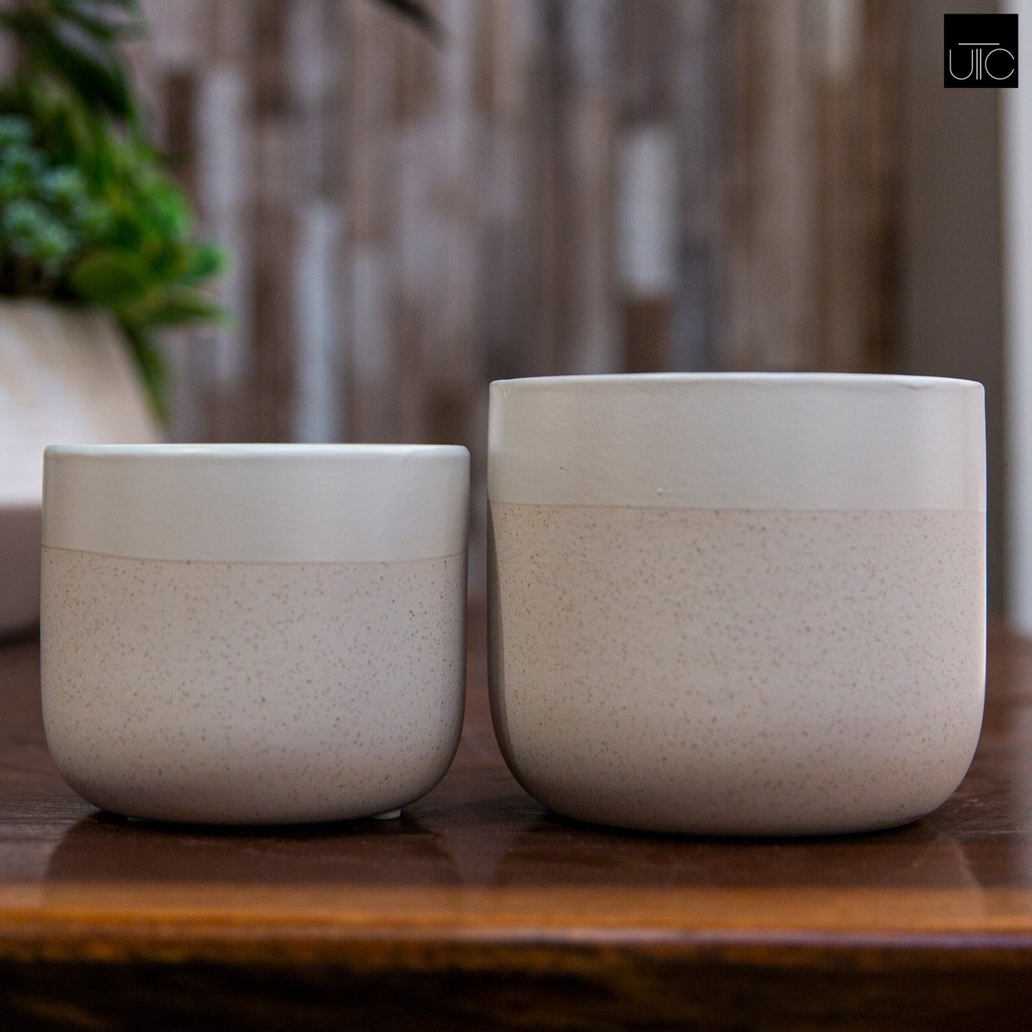 Selvano Two-toned Ceramic Planter Set (Set of 2)