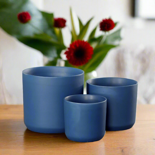 Three blue ceramic pots on a wooden surface with red flowers in the background.