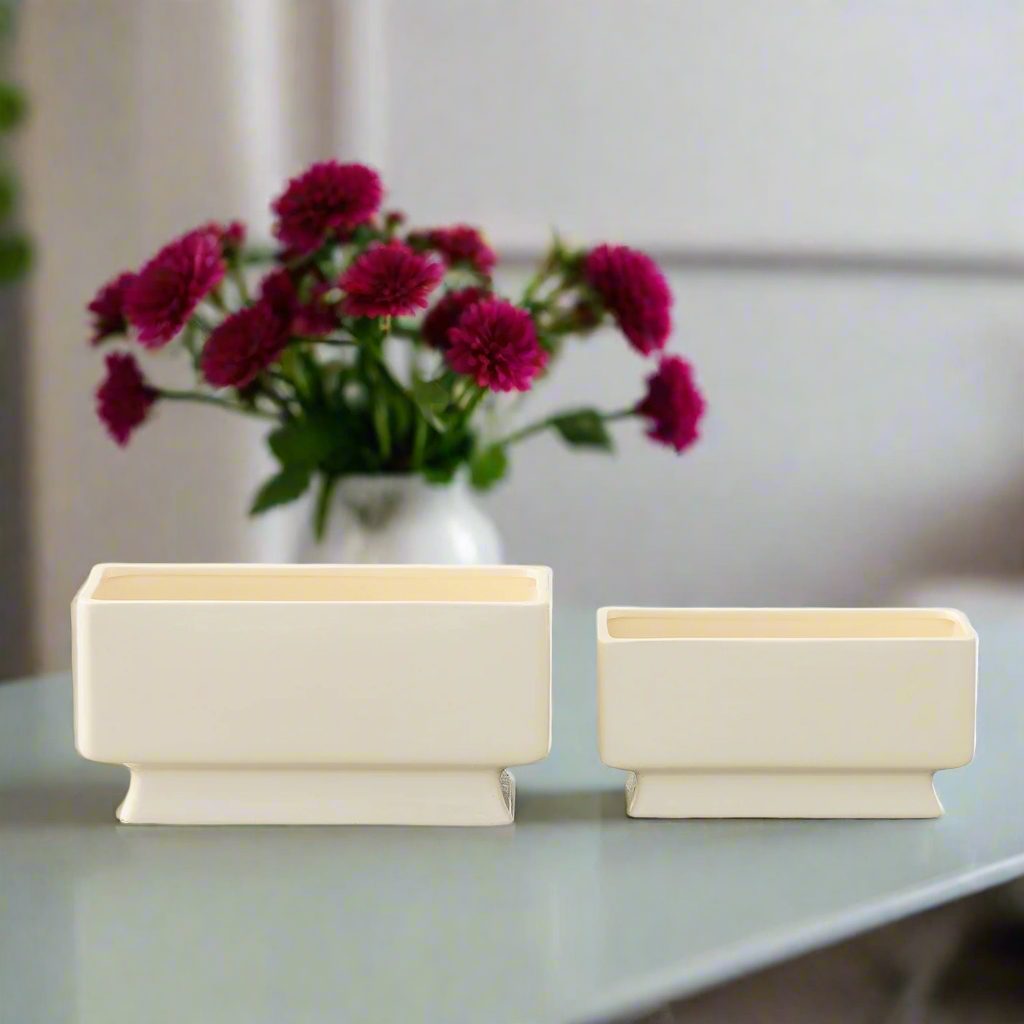 Cielo Cream Ceramic Rectangle Pot (Set of 2)
