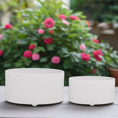 Avery Glossy Oval Vase Set (Set of 2)