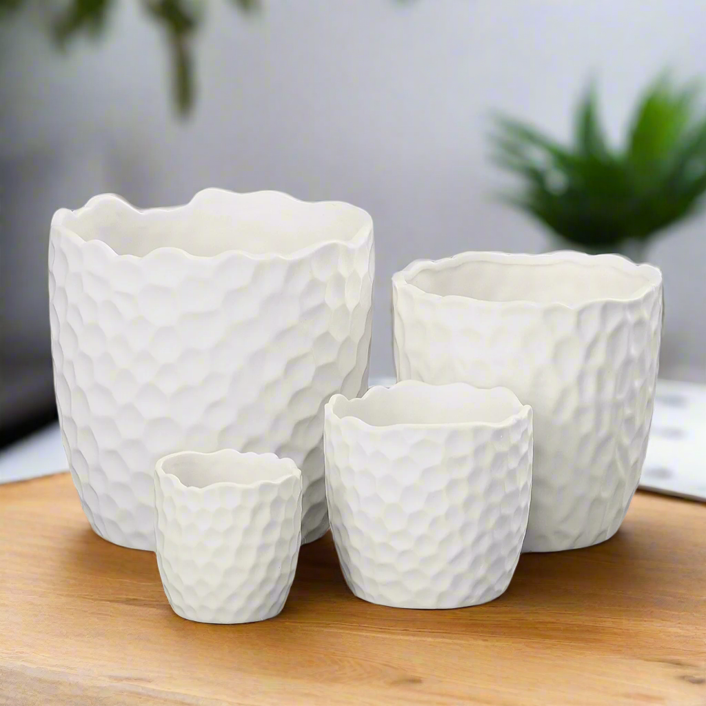 Portina Ceramic Round Planter Set (Set of 4)