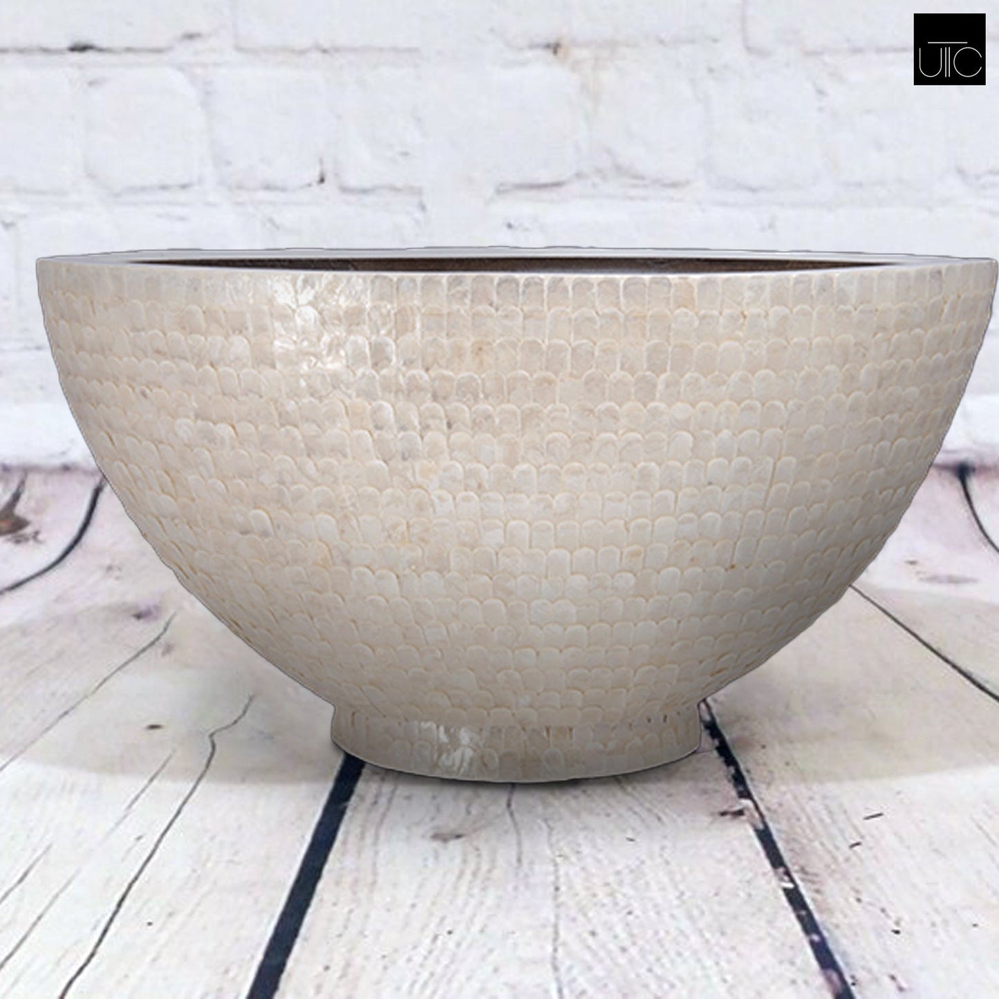A boat-shaped shell planter with a gloss finish in a cream color, displayed on a wooden surface.