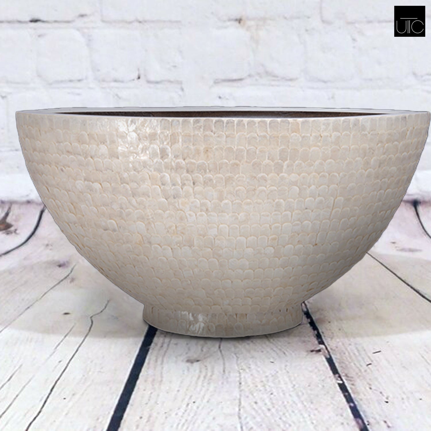 A boat-shaped shell planter with a gloss finish in a cream color, displayed on a wooden surface.