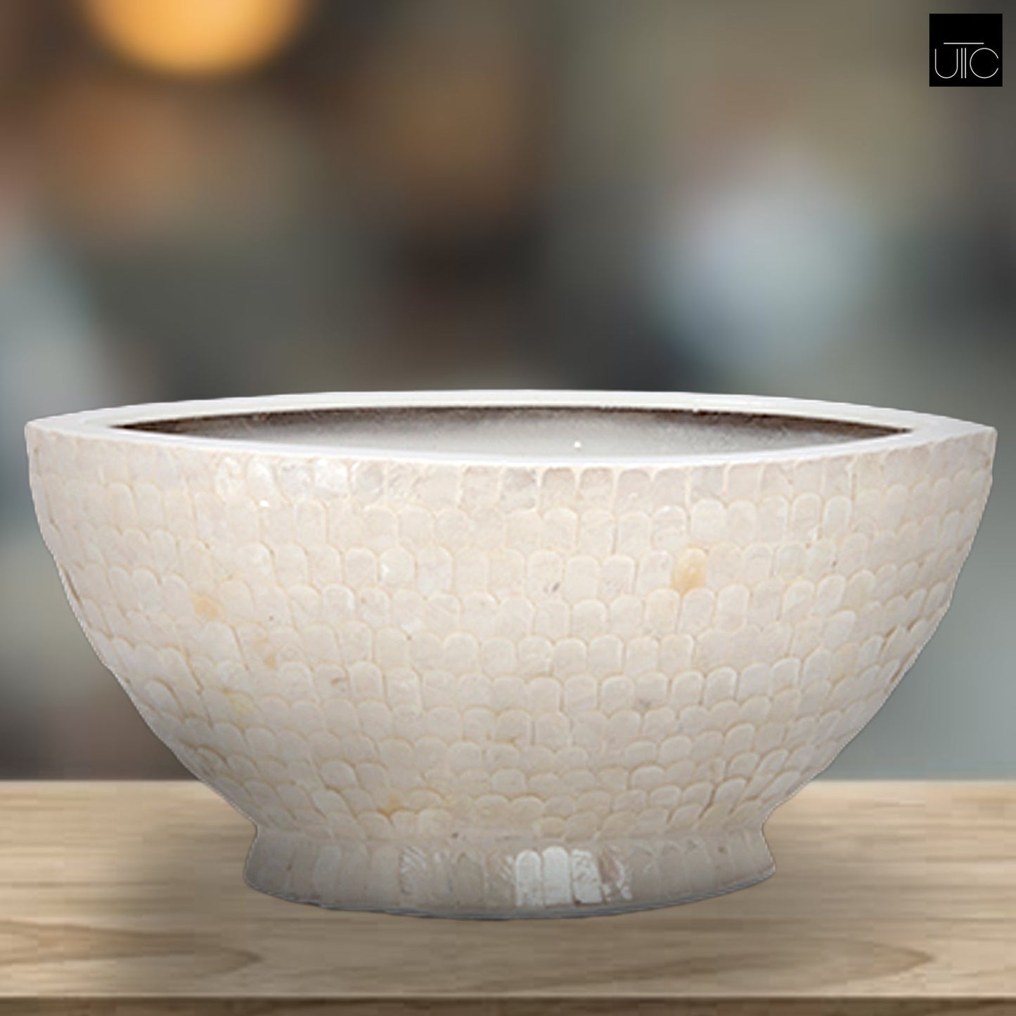 Kaelenn Ceramic Shell Boat Planter