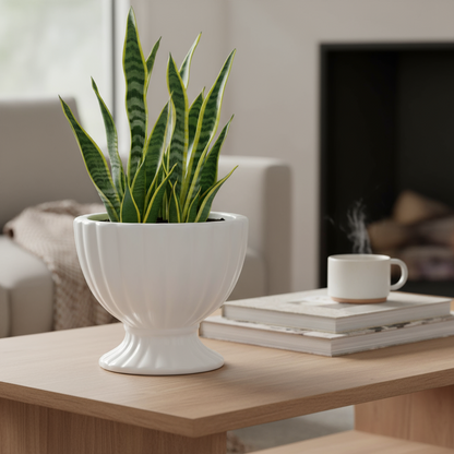 Grellen Rippled Off-White Compote Planters