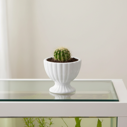 Grellen Rippled Off-White Compote Planters