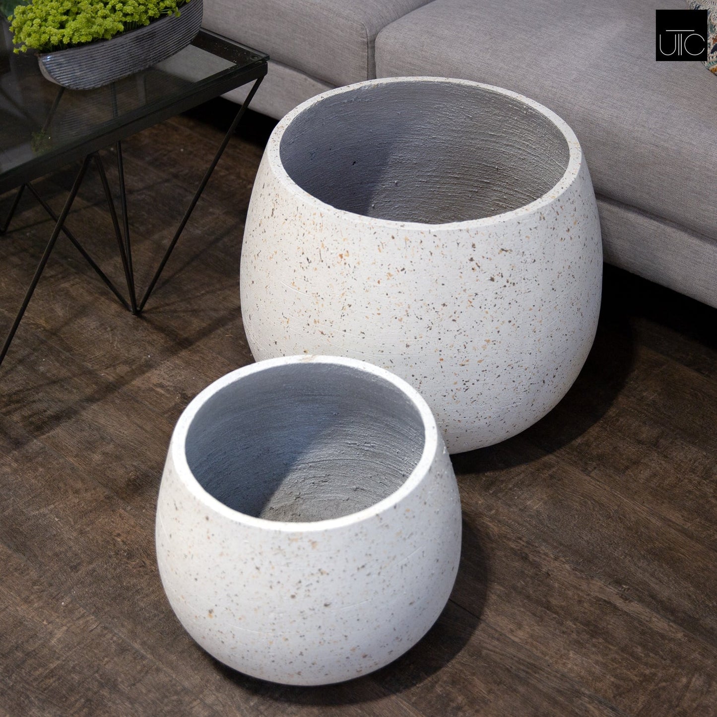 Elarien Cement Flower Pot (Set of 2)