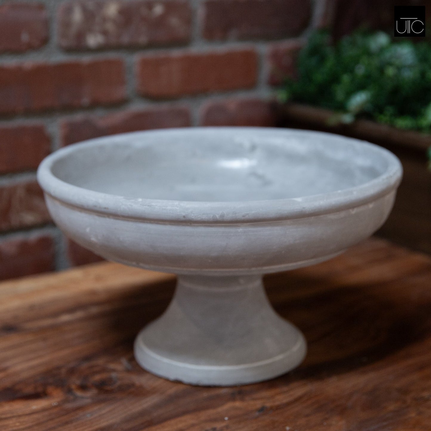 Rion Gray Cement Compote Bowl on Stand