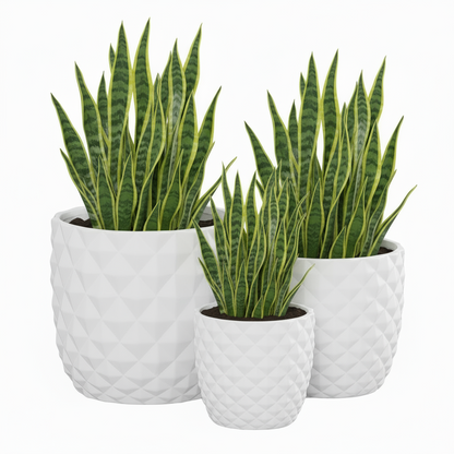 Tizze Diamond Planter Set (Set of 3)