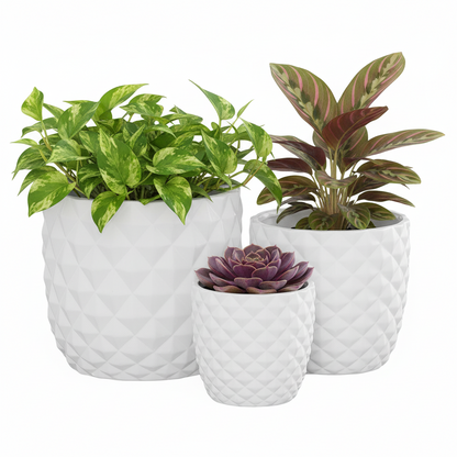Tizze Diamond Planter Set (Set of 3)
