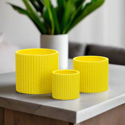 Rivaro Ceramic Pot Trio (Set of 3)