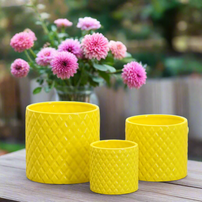 Kavelle Diamond Pattern Ceramic Pot (Set of 3)