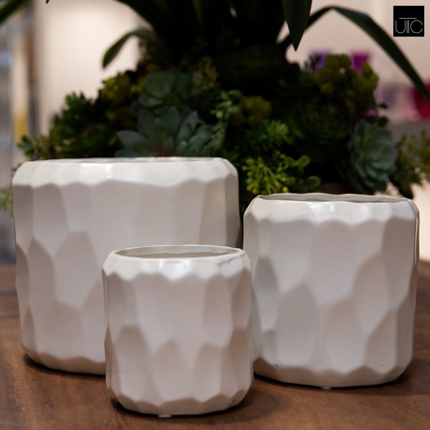 Vara Embossed White Ceramic Pot Set (Set of 3)