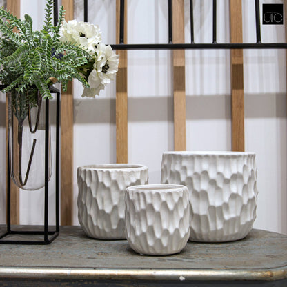 Three ceramic round pots with a matte finish, displayed on a surface with a Scooped design body. The pots are white in color and have a textured exterior.