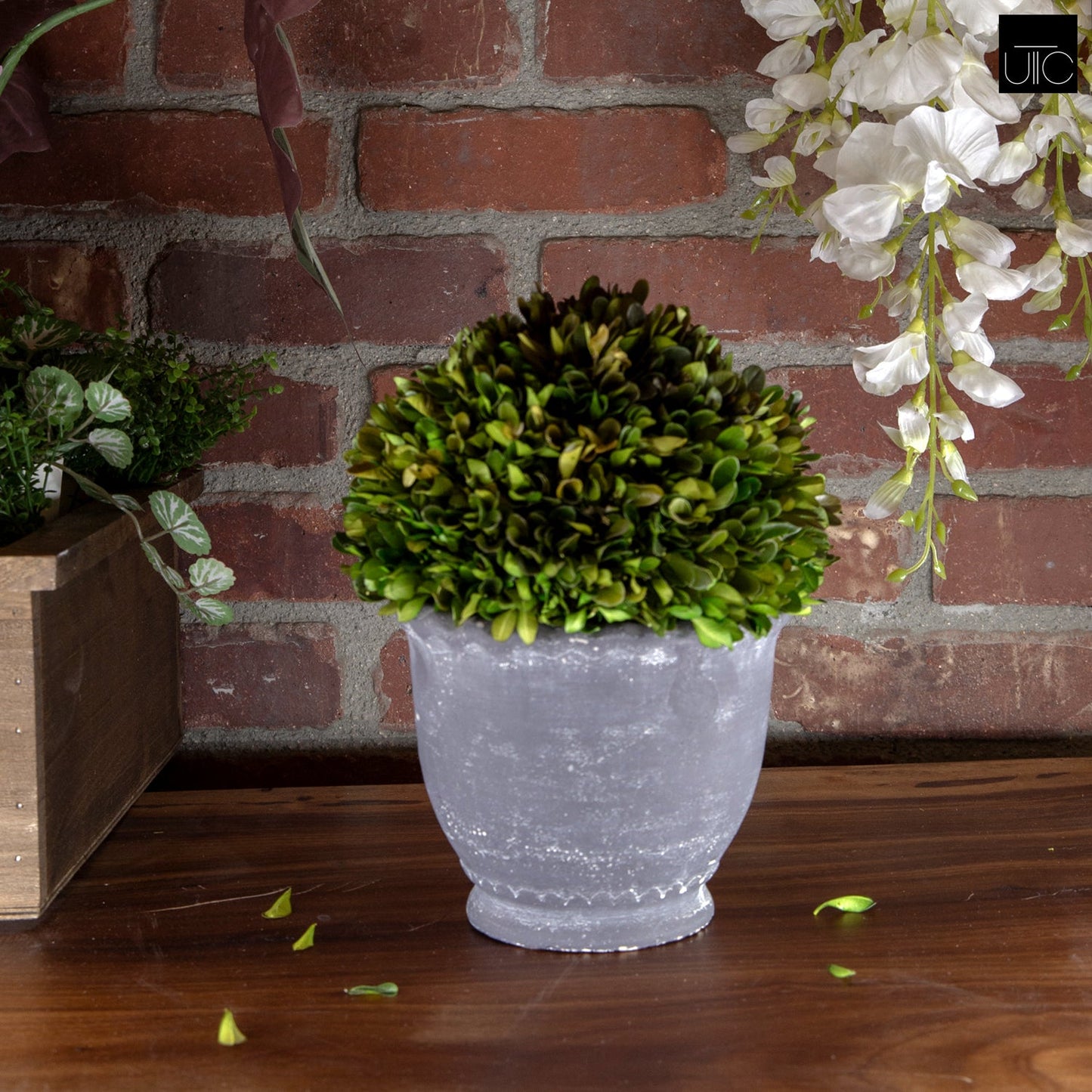 Eterna Handcrafted Round Planter
