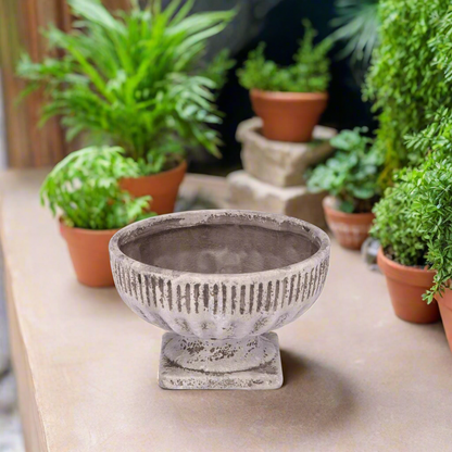 Savannah Terracotta Pot