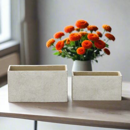 Axenne Light Gray Terracotta Rectangle Pot (Set of 2)