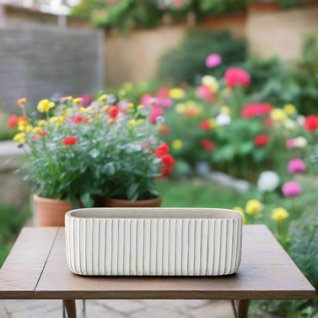 Lucia Cement Rectangular Pot