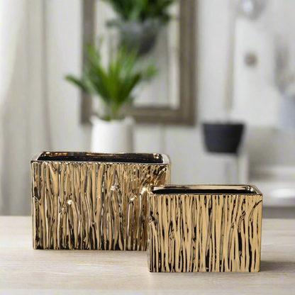 Giselle Golden Rectangular Abstract Vase (Set of 2)
