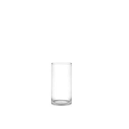 Silvon Clear Glass Cylinder Vase