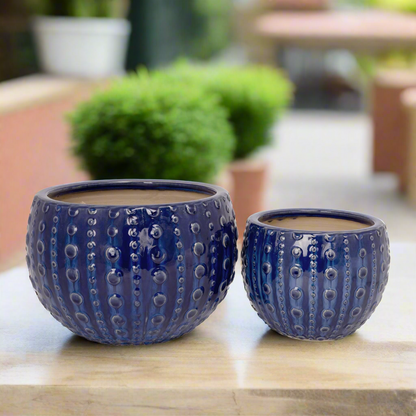 Zerina Ceramic Planter Set (Set of 2)
