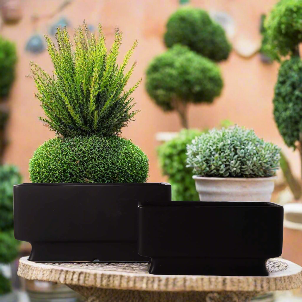 Cyra Ceramic Rectangle Planter Set (Set of 2)