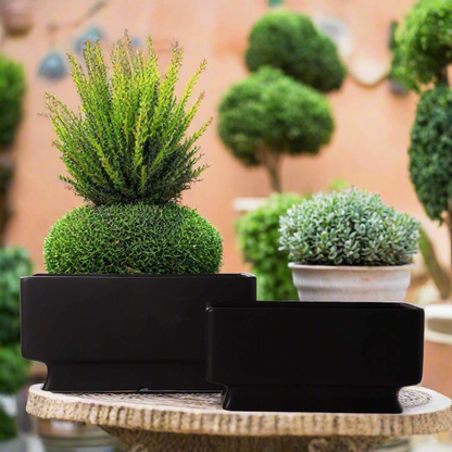 Cyra Ceramic Rectangle Planter Set (Set of 2)