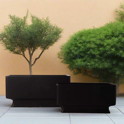 Cyra Ceramic Rectangle Planter Set (Set of 2)