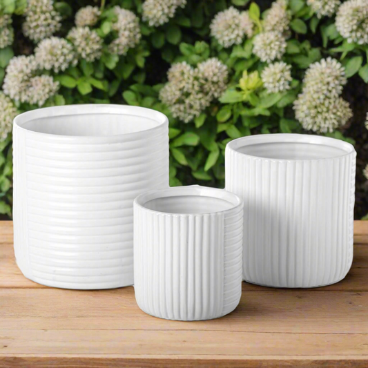 Paloma Ceramic Round Planter Set (Set of 3)