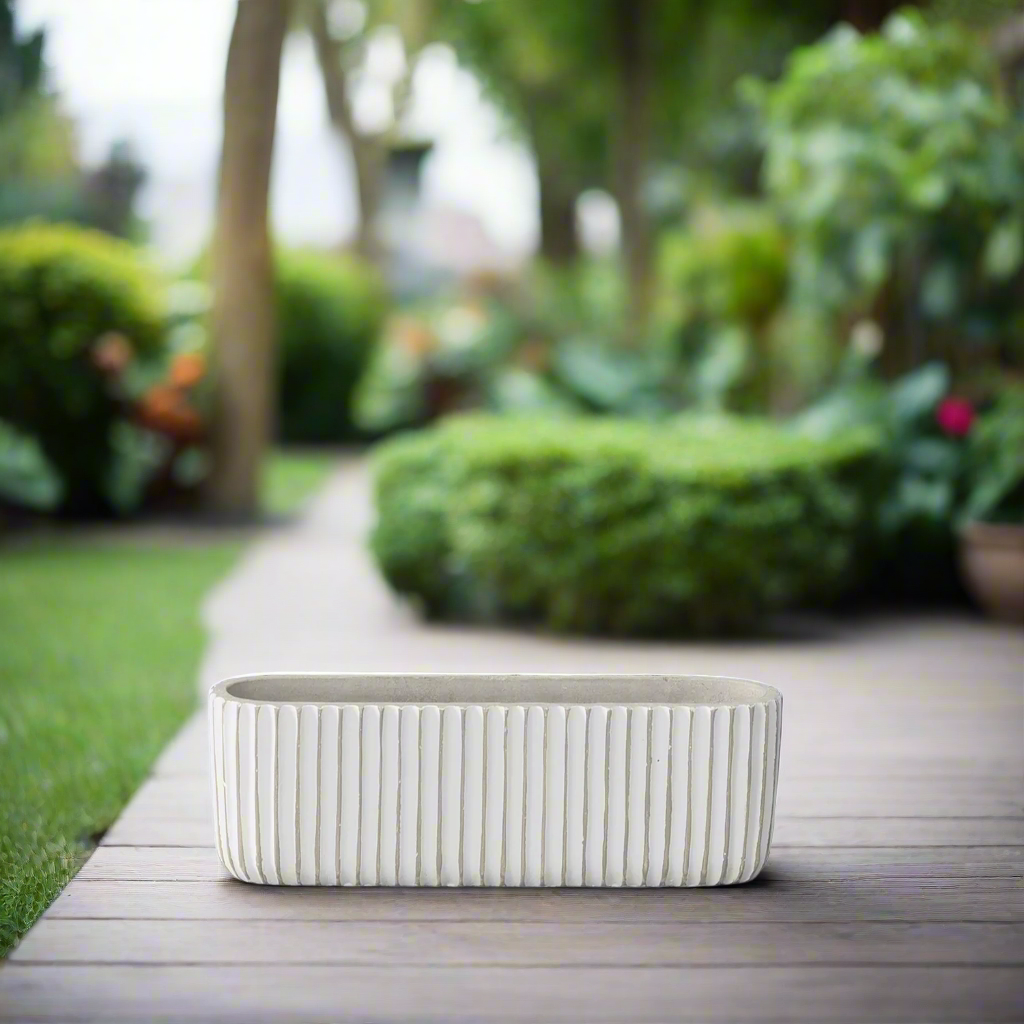 Lucia Cement Rectangular Pot