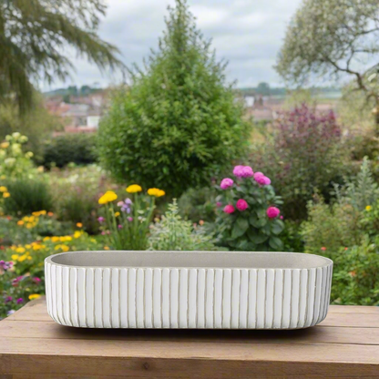 Lucia Cement Rectangular Pot