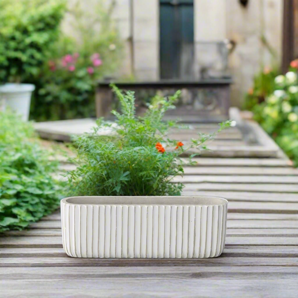 Lucia Cement Rectangular Pot