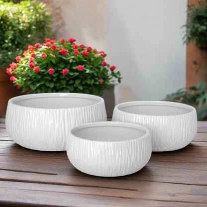 Lerros Wavy Emboss Ceramic Planter Set (Set of 3)