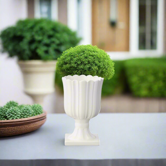 Clarisse Ceramic Tulip Urn Planter