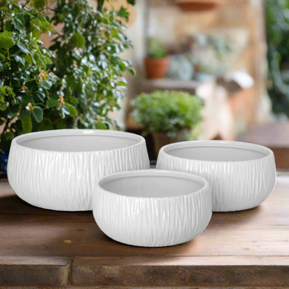 Lerros Wavy Emboss Ceramic Planter Set (Set of 3)