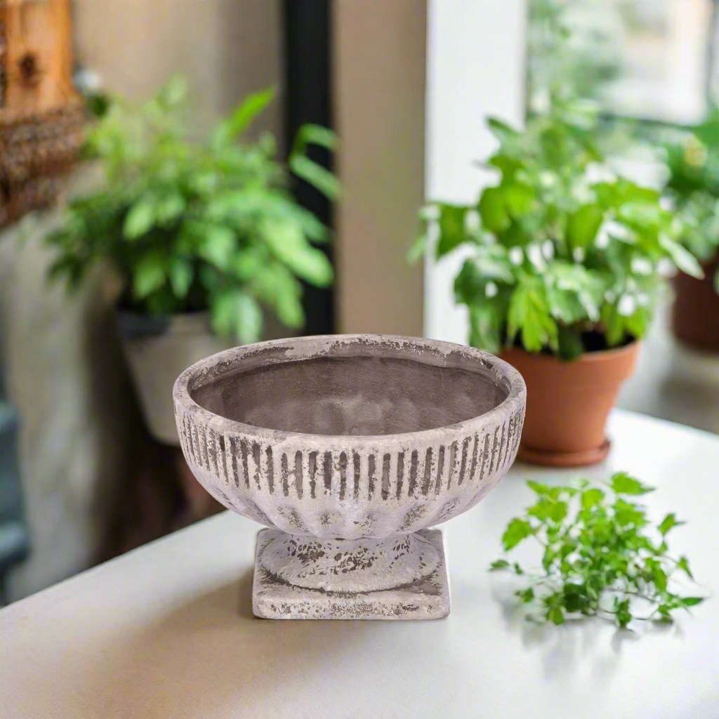 Savannah Terracotta Pot