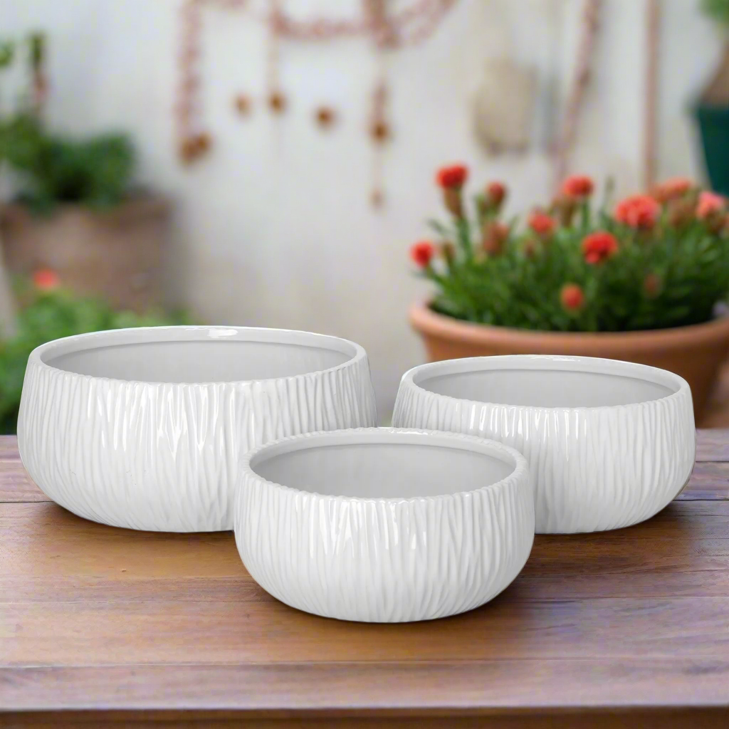 Lerros Wavy Emboss Ceramic Planter Set (Set of 3)