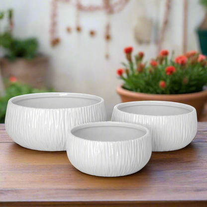 Lerros Wavy Emboss Ceramic Planter Set (Set of 3)
